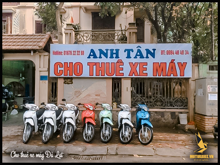 Thuê xe máy đà lạt giá rẻ Anh Tân