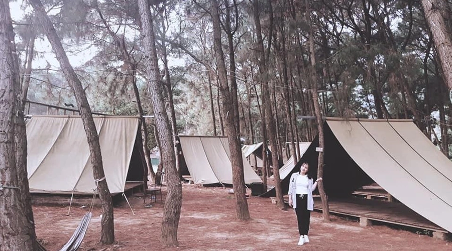 Cắm trại thật chill cùng bạn bè ngay tại rừng thông Bản Rõm