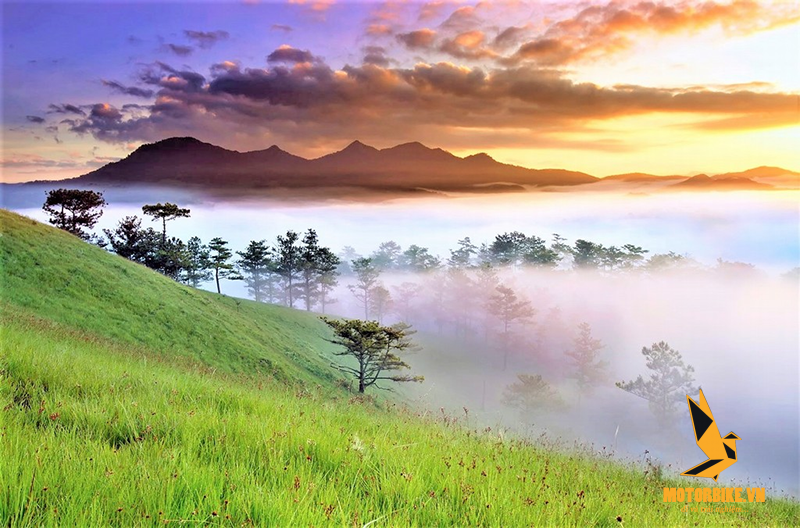 Núi Langbiang địa điểm du lịch Đà Lạt cuốn hút với tầm view tuyệt đẹp  