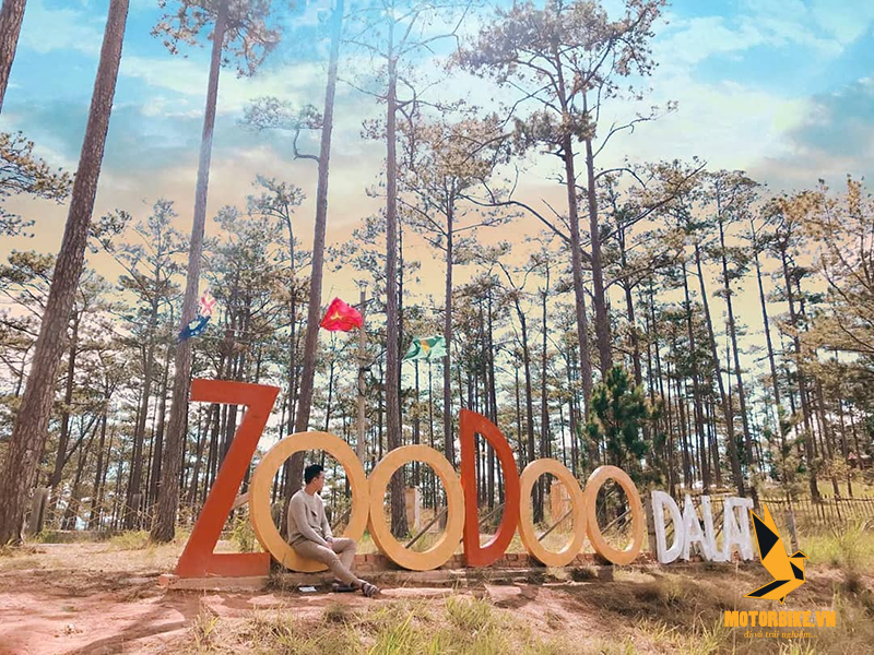 Vườn thú ZooDoo địa điểm tham quan độc đáo tại Đà Lạt 