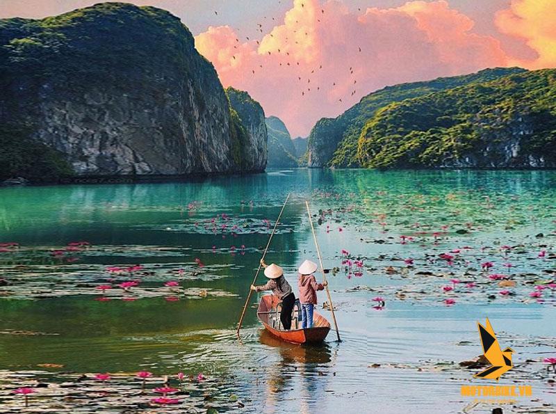 Ngắm hồ sen bên Hồ Quan Sơn