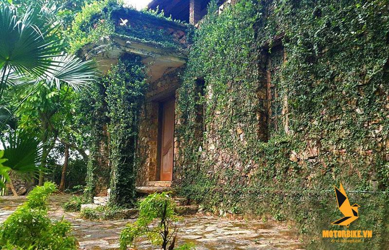 Jungle House - Homestay gần Hà Nội